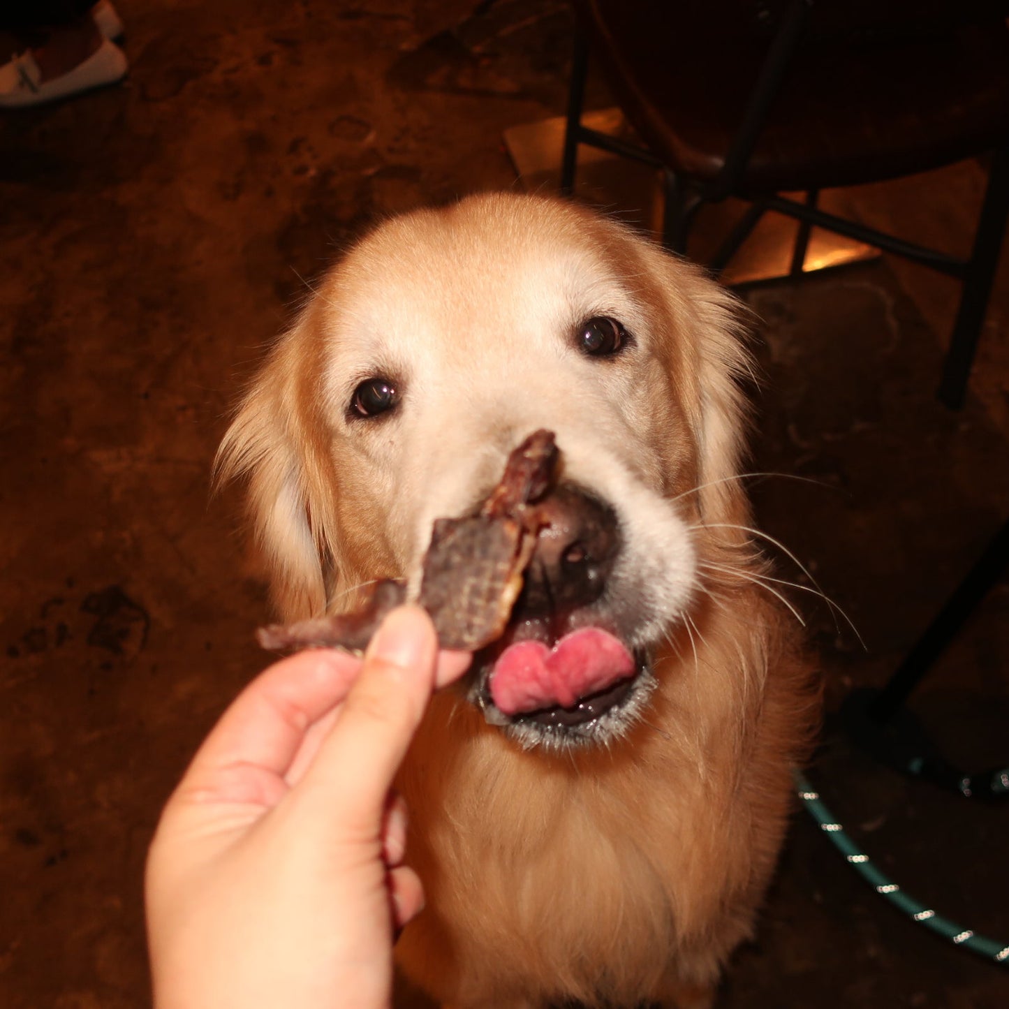 Pork Heart