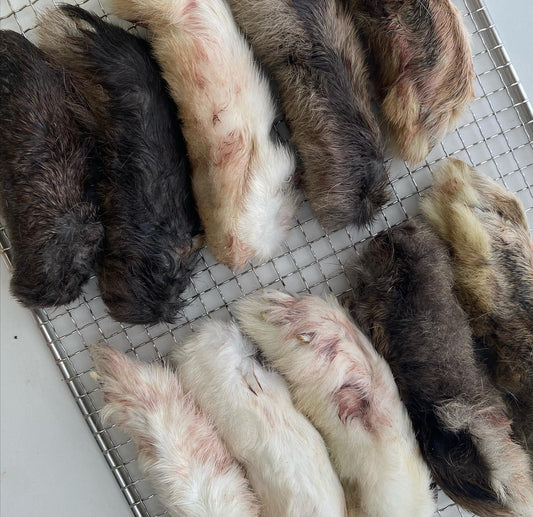 Rabbit Feet