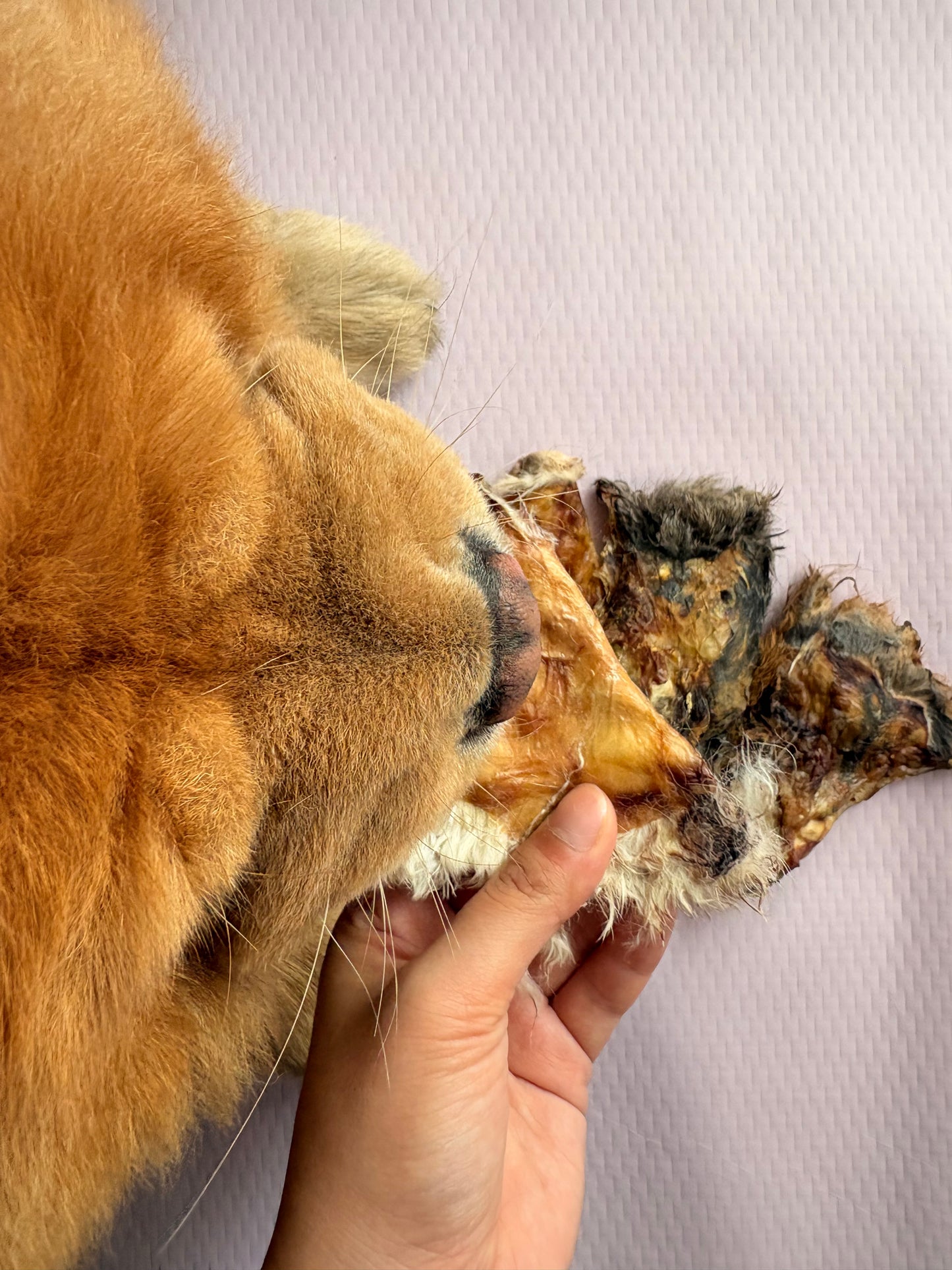 Rabbit Mask Chews